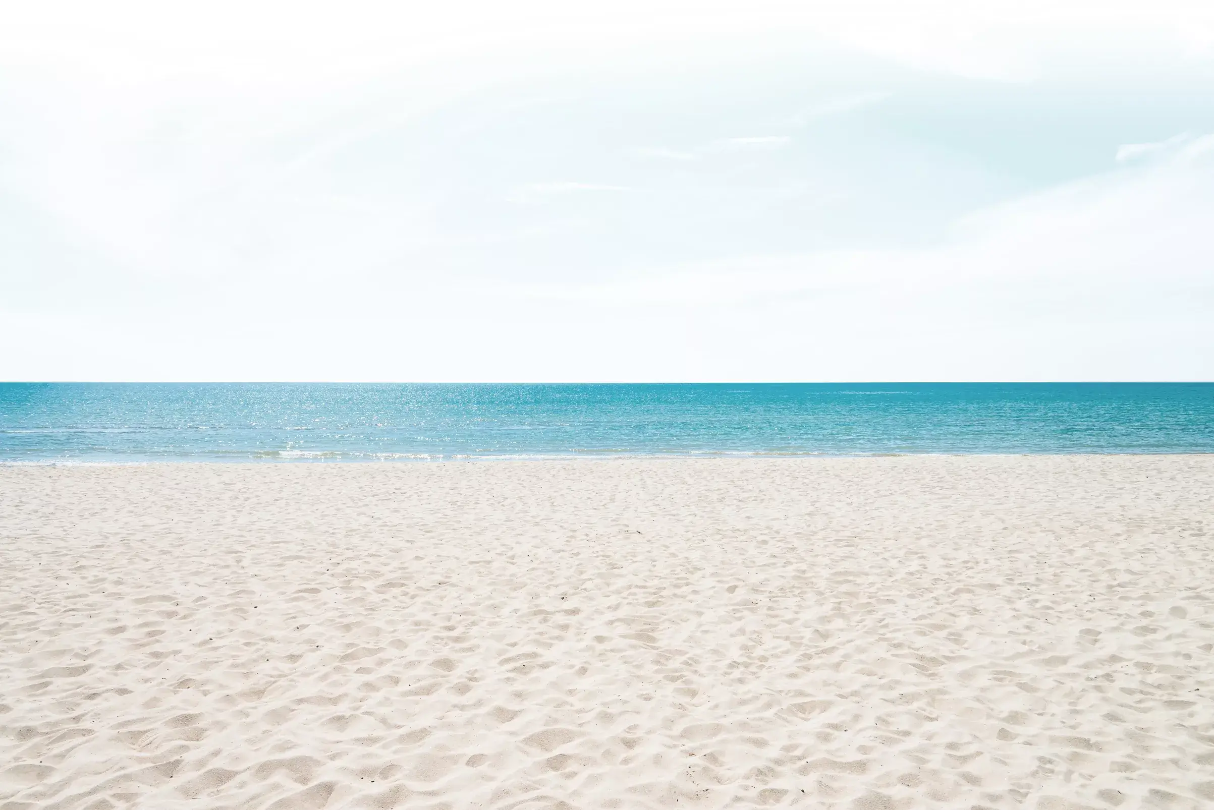 Background Seabird Lodge Logo